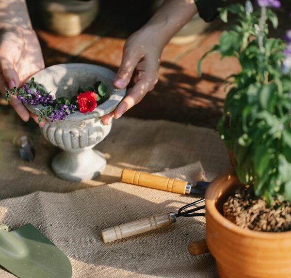 Optimize Your Growth 628667251 Digital Tools