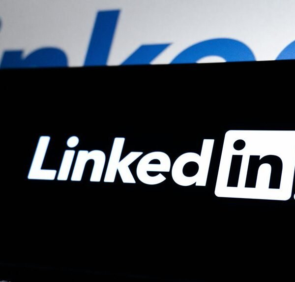 elevate your online presence