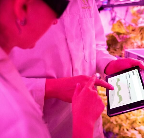 Maximize Your Growth 955160007 Digital Tools